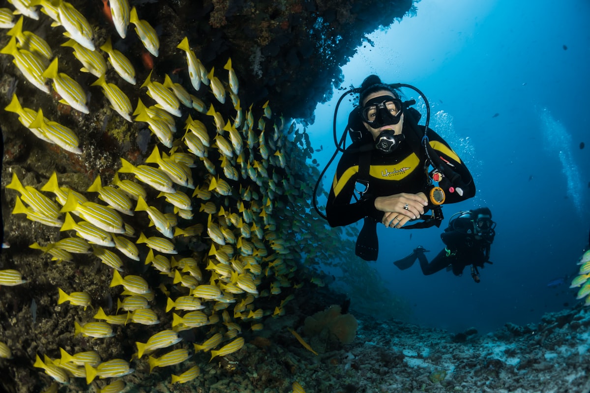 Diver swimming over a coral reef full of fish